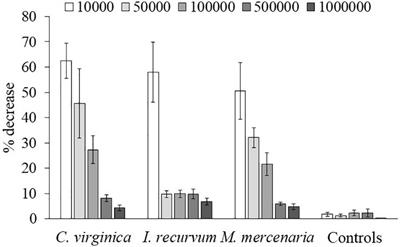Bivalve Feeding on the <mark class="highlighted">Brown Tide</mark> Aureoumbra lagunensis in a Shallow Coastal Environment